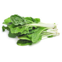 Green Chard, 1 Each