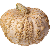 Mixed Heirloom Pumpkin - 1 Each