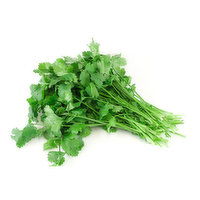 Cilantro - 1 Each