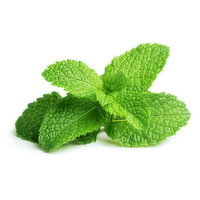 Fresh Mint - 1 Each