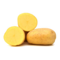 Organic Gold Potato