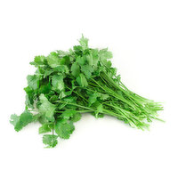 Organic Cilantro, 1 Each