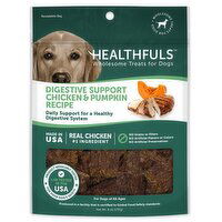 Healthfuls Digestsive Chicken & Pumpkin - 6 Ounce