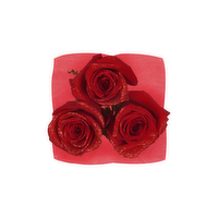 Illusion Rose - 1 Each