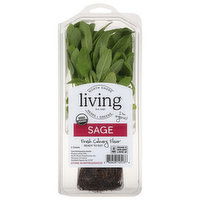 North Shore Living Herbs Sage - 1 Each