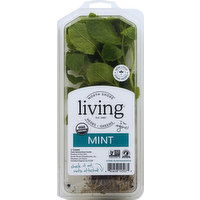 North Shore Living Herbs Mint - 1 Each