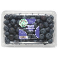 Naturipe Mighty Blues Big Size Blueberries - 9.8 Ounce