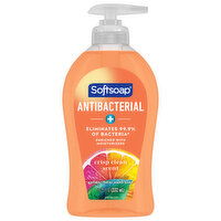 Softsoap Liquid Hand Soap Pump - 11.25 Fluid ounce