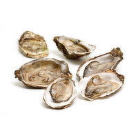 Fresh Oysters In The Shell Wild Caught - 1.22 Pound