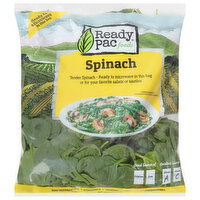 Ready Pac Foods Spinach - 9 Ounce