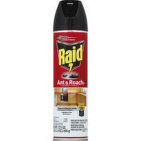 Raid Ant & Roach Killer 26, Fragrance Free