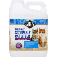 First Street Cat Litter, Multi-Cat, Unscented, Scoopable - 20 Pound