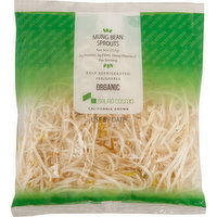 Salad Cosmo Mung Bean Sprouts, Organic - 9 Ounce