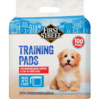 First Street Training Pads - 100 Each