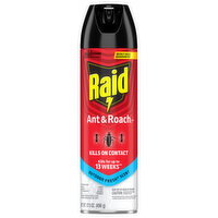 Raid Outdoor Fresh Scent Ant & Roach Killer
