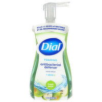 Dial Foaming Antibacterial Defense Fresh Pear Scent Hand Wash + Aloe - 7.5 Fluid ounce