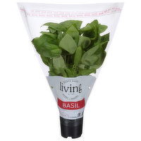 North Shore Living Herbs Basil - 1 Each