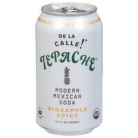De La Calle! Modern Mexican Pineapple Spice Soda - 12 Fluid ounce