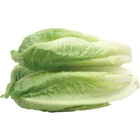 Foxy Romaine, Hearts, Fresh - 6 Each