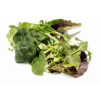  RFF Organic Spring Mix, 2 Pound 