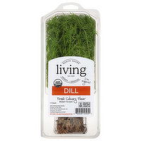 North Shore Living Herbs Dill - 1 Each