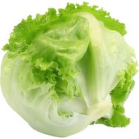 Wrapped Iceberg Lettuce - 1 Each