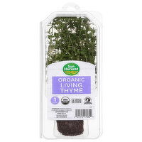 Sun Harvest Living Thyme, Organic - 1 Each