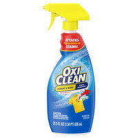 OxiClean Stain Remover - 21.5 Fluid ounce
