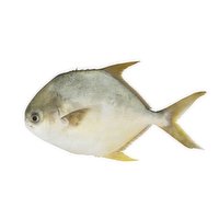 Whole Pompano - 1.06 Pound