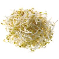 Alfalfa/Claver Sprouts - 4 Ounce