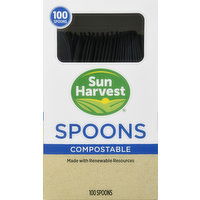 Sun Harvest Spoons, Compostable - 100 Each