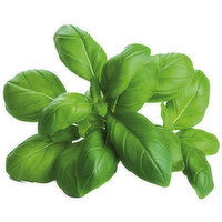 Fresh Basil Ea. - 1 Each