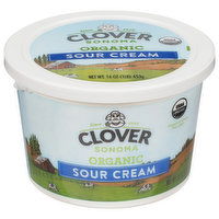 Clover Sonoma Sour Cream, Organic - 16 Ounce