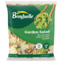 Ready Pac Foods Garden Salad - 12 Ounce