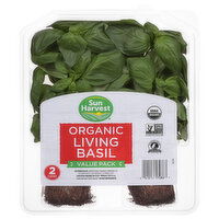 Sun Harvest Living Basil, Organic, Value Pack - 2 Each