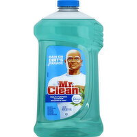 Mr. Clean Multi-Purpose Cleaner, Meadows & Rain - 40 Ounce