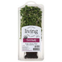 North Shore Living Herbs Thyme, 1 Each