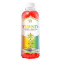 Synergy The Real Trilogy Kombucha - 16 Fluid ounce