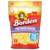 Borden Four Cheese Mexican