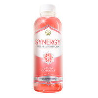 Synergy The Real Guava Goddess Kombucha - 16 Fluid ounce