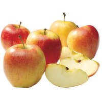 Gala Apples - 0.33 Pound