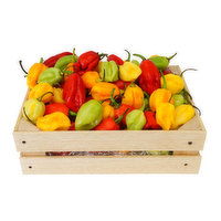 Habanero Chile Package 2 oz - 2 Ounce