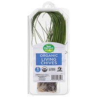 Sun Harvest Living Chives, Organic, 1 Each