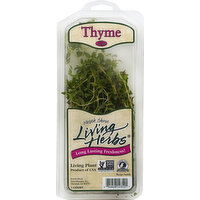 North Shore Living Herbs Thyme - 1 Each