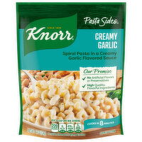 Knorr Shells, Creamy Garlic - 4.4 Ounce
