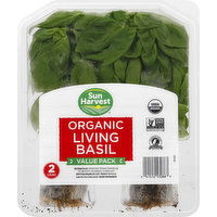 Sun Harvest Living Basil, Organic, Value Pack - 2 Each