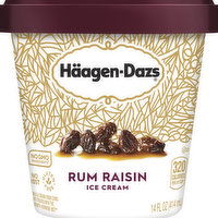 Haagen-Dazs Ice Cream, Rum Raisin - 14 Ounce