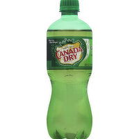 Canada Dry Ginger Ale, 24 Pack, 480 Ounce