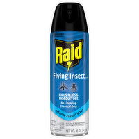 Raid Outdoor Fresh Scent Flying Insect Killer - 15 Ounce