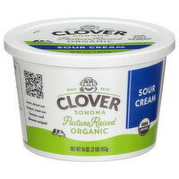 Clover Sonoma Organic Sour Cream - 16 Ounce